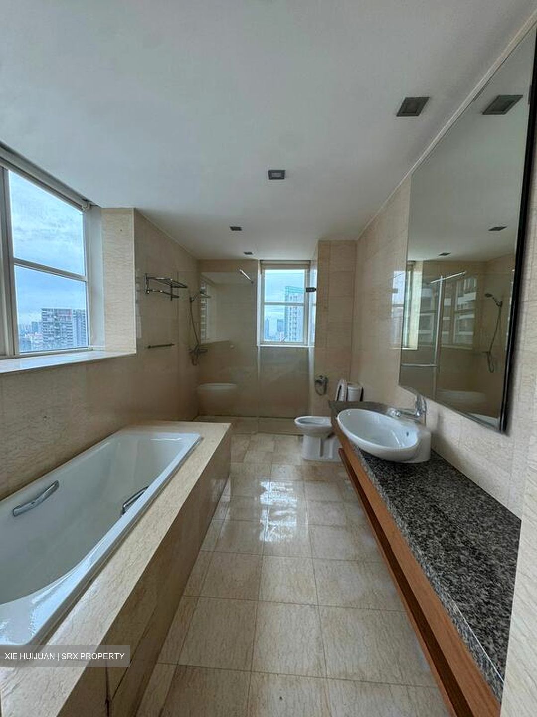 Newton Gems (D11), Condominium #481446871
